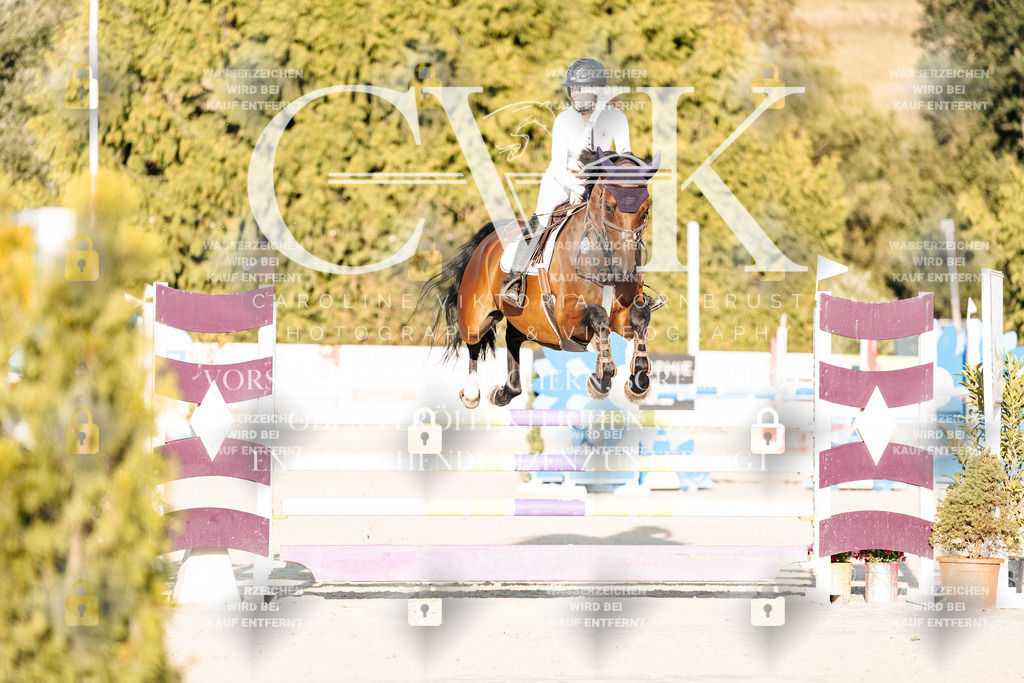 CK900650 | Turnierfotografie Pferdefotografie Trier Rheinland-Pfalz Pferdesport Reitsport Tierfotografie Sportfotografie Pferdevideo Pferdevideografie Equestrianvideography equestrianphotography  - Realisiert mit Pictrs.com