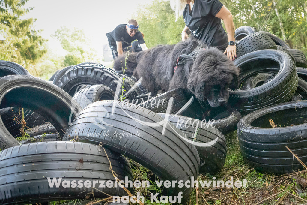 1045_ZZ90430-Bearbeitet | kk-dogfotos