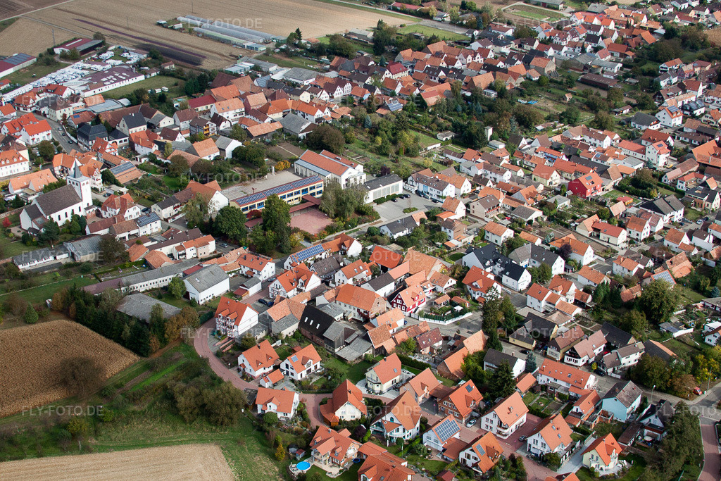 Luftbild: landwirtschaftlichen Feldern und Nutzflächen in Minfeld im Bundesland Rheinland-Pfalz in Deutschland. Foto: IMG_22548.jpg vom 15.10.2009 durch Werner Riehm/FLY-FOTO.de
