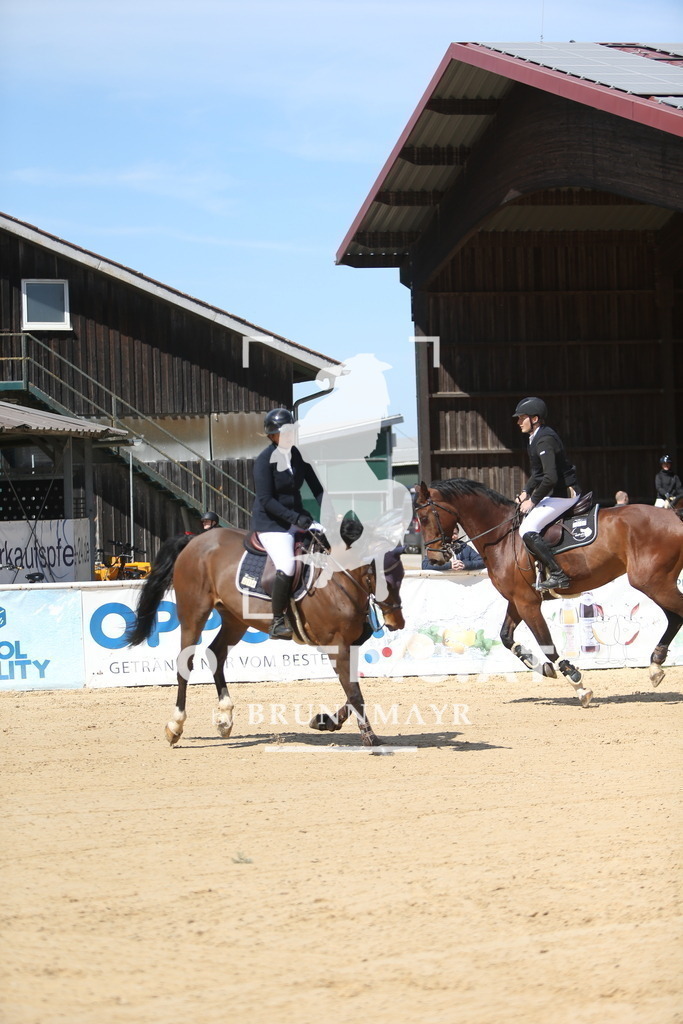 DL2Q4359 | Willkommen bei Brunnmayr - Design & Fotografie – Ihrem Spezialisten für Reitturniere und Pferdeveranstaltungen in Oberösterreich, Salzburg und Bayern! Seit über 17 Jahren sind wir leidenschaftlich dabei.