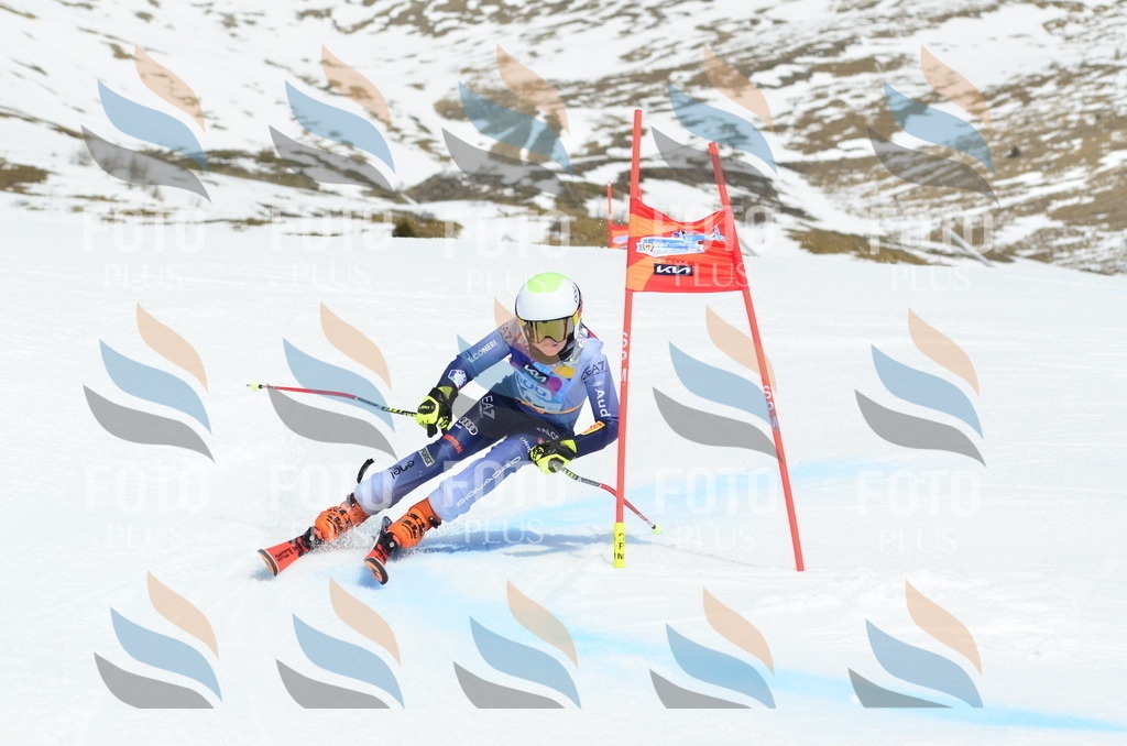 _ELE2187 | holidayphoto