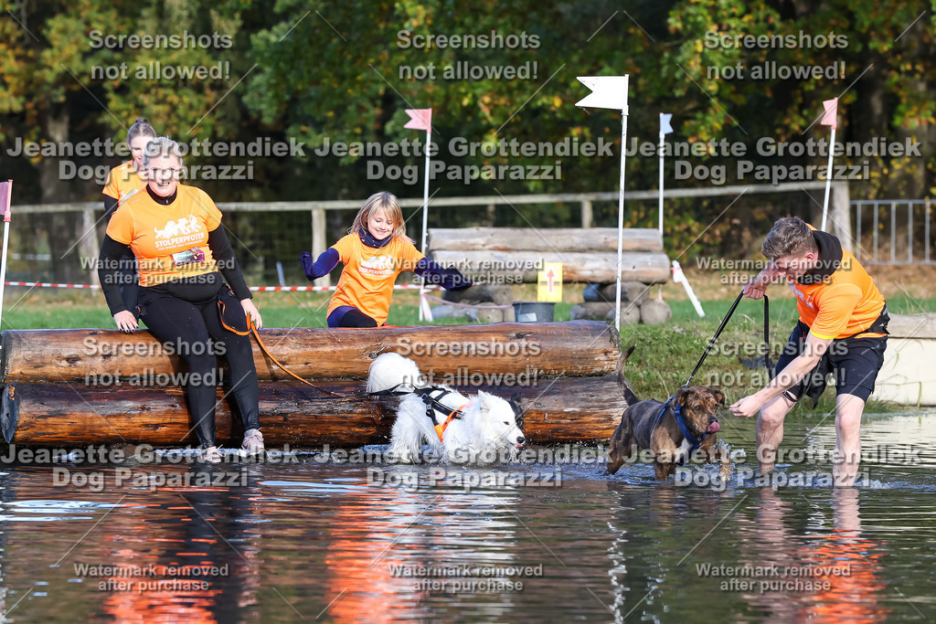 Dog Paparazzi - Strongdog 10-25-8564 | Dog Paparazzi Jeanette Grottendiek Fotografie & Videografie - Realisiert mit Pictrs.com