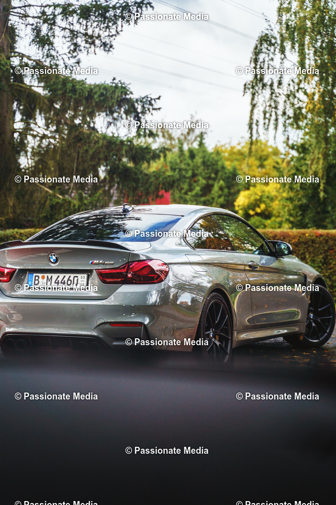 _DSC5826 | Passionate Media, dein Fotograf aus Brandenburg, Märkisch Oderland, im Bereich Motorsport, Autos und Motorräder sowie Events und auch Hunde. Shootings oder auch Eventbegleitungen können bei mir gebucht we