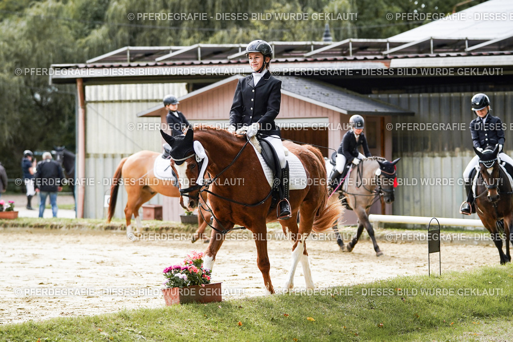 DSC05805 | Pferdegrafie