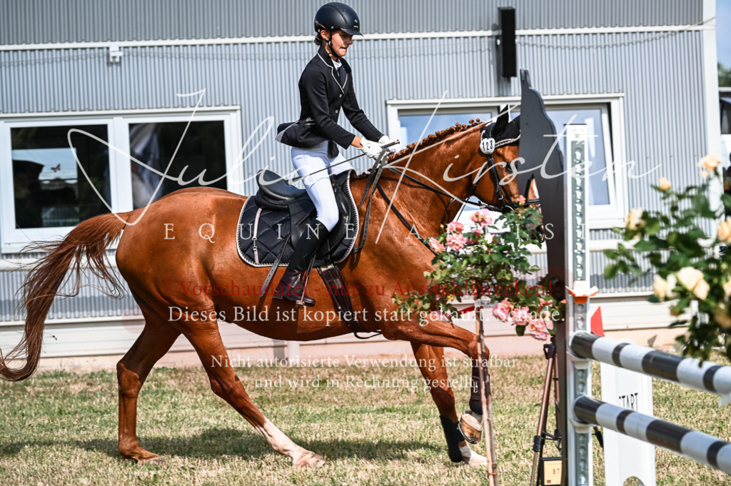 DSC_7970 | Pferde- und Turnierfotografie in Westsachsen. Pferdeportraits, Auftragszeichnungen und intuitive Kunst.