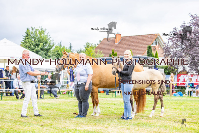 3_MG_3636 (3934) | mandyhollmannphotographie