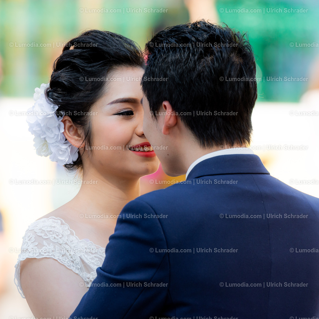 202510-136 | Stockfoto und Bilderpool mit Bildmaterial aus Deutschland, dem Harz, Halberstadt, Quedlinburg, Wernigerode und weltweit. Qualitativ hochwertige und professionelle Fotos anschauen und kaufen. - Realisiert mit Pictrs.com