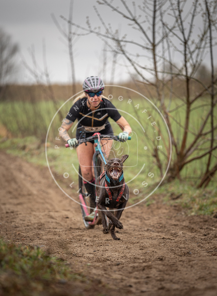 DV3A9165 | Hundefotografie, Tierfotograf, Pfotenfotografie, Fotoshooting Hund, Hunde Portrait, Hundesport, Hundeportraits, Heideshooting, Hunde, Sportfotograf, Hundefotograf, Turnierhundsport, THS,  - Realisiert mit Pictrs.com