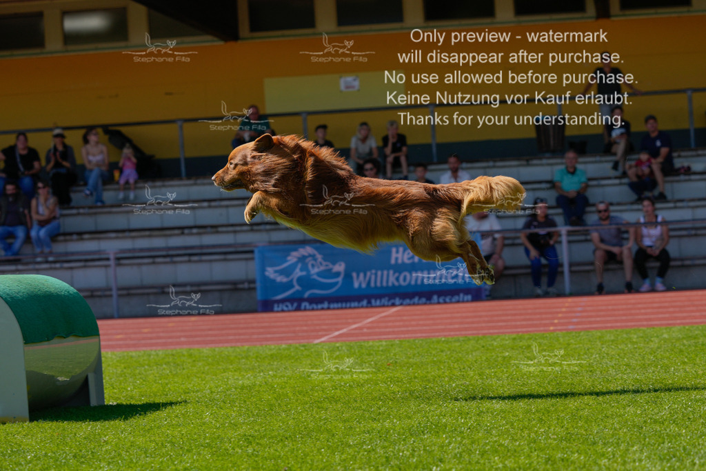 Sonntag_VK Hindernis (402 von 671) | stephaniefillaphotographie - Realisiert mit Pictrs.com