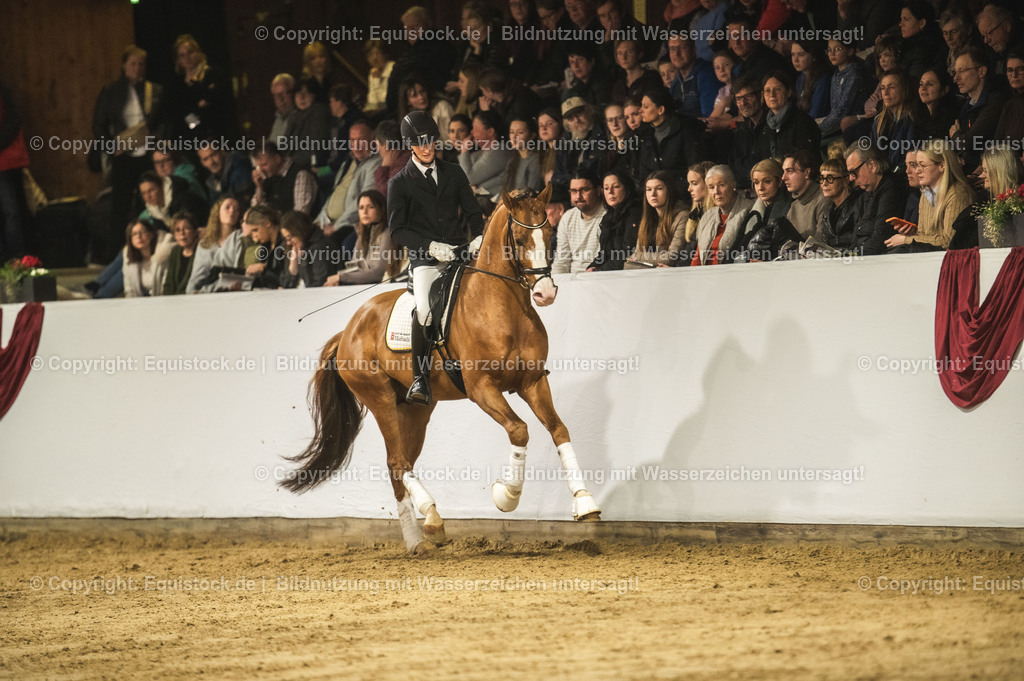 20240302_Hengstvorstellung_Marbach_TOMsPiC_0535 | equistock