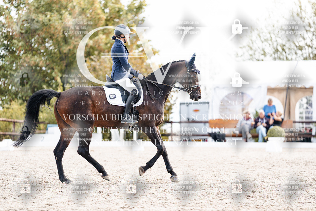 CK901497 | Turnierfotografie Pferdefotografie Trier Rheinland-Pfalz Pferdesport Reitsport Tierfotografie Sportfotografie Pferdevideo Pferdevideografie Equestrianvideography equestrianphotography  - Realisiert mit Pictrs.com