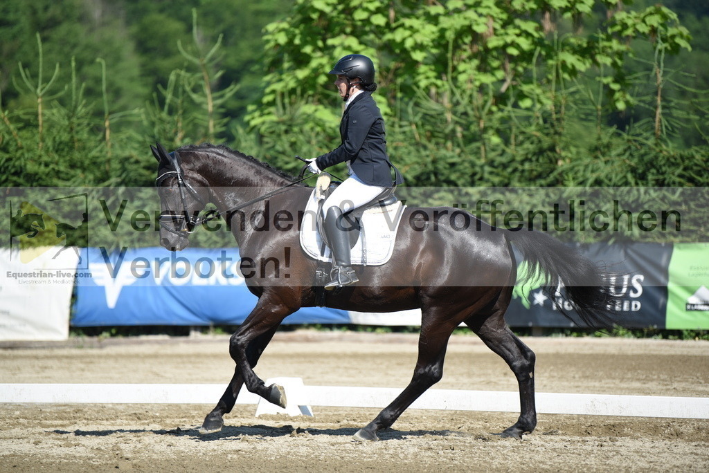 DSC_7515 | equestrian-live-com