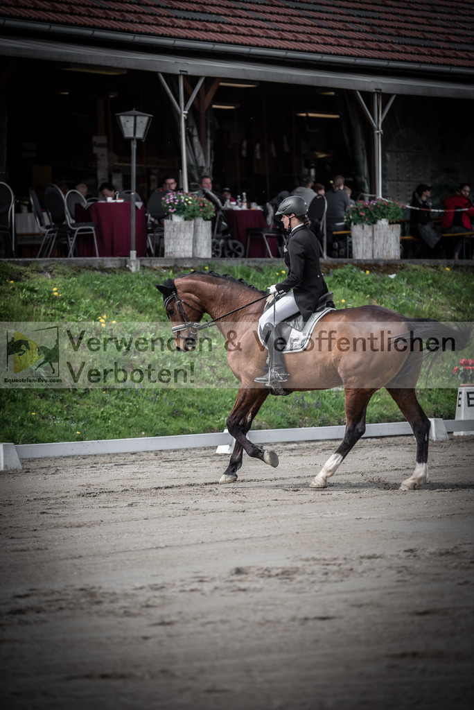 DSC_2135 | equestrian-live-com
