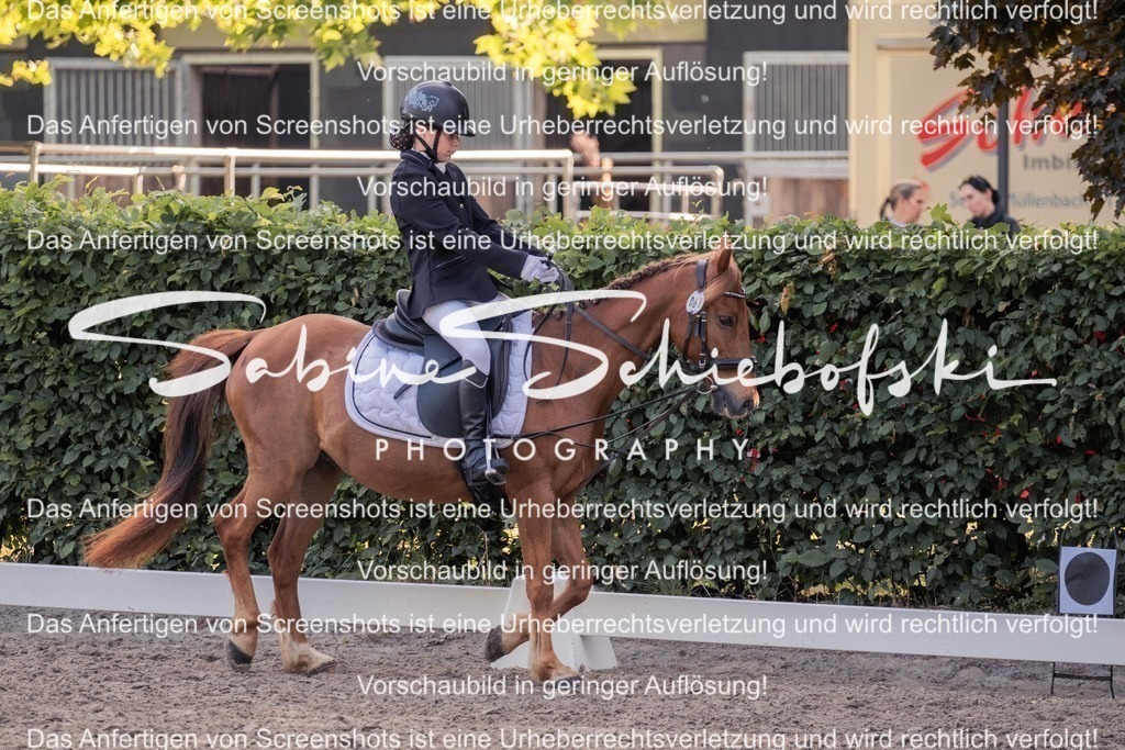 2025_05_31_DSCF2642 | People- und Tierfotografie, Imageaufnahmen, Veranstaltungsfotografie und Wandbilder aus der Natur ★ Made in Germany ✔️ Druck + Downloads ✔️ Naturfotografie in Top Qualität ★ schneller Versand, weltweite Lieferung! - Realisiert mit Pictrs.com