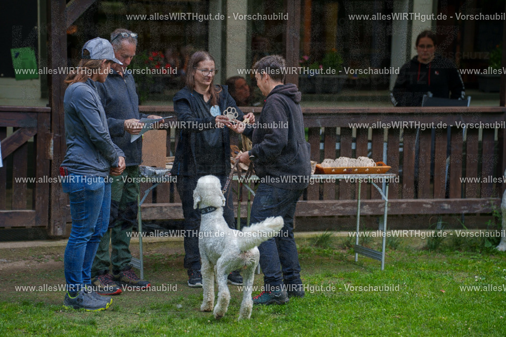 @allesWIRTHgut_Tierfotografie - www.allesWIRTHgut.de - 7R503980 | Professionelle Tierfotografie in Mönchengladbach von Daniel Wirth (allesWIRTHgut). Liebevolle & natürliche Bilder von Hunden & Katzen für unvergessliche Erinnerungen.