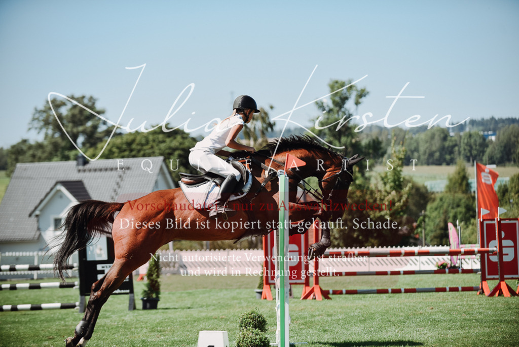 DSC_3110 | Pferde- und Turnierfotografie in Westsachsen. Pferdeportraits, Auftragszeichnungen und intuitive Kunst.