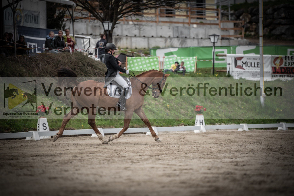 DSC_2516 | equestrian-live-com