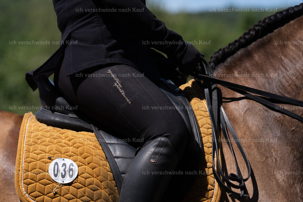 WS_DR_36_sinafilmart_IN08478 | working equitationturnier fotograf videograf stoibphotography marixx film working equitation deutschland reitsport turnierfotografie eventfotografie equestrian events