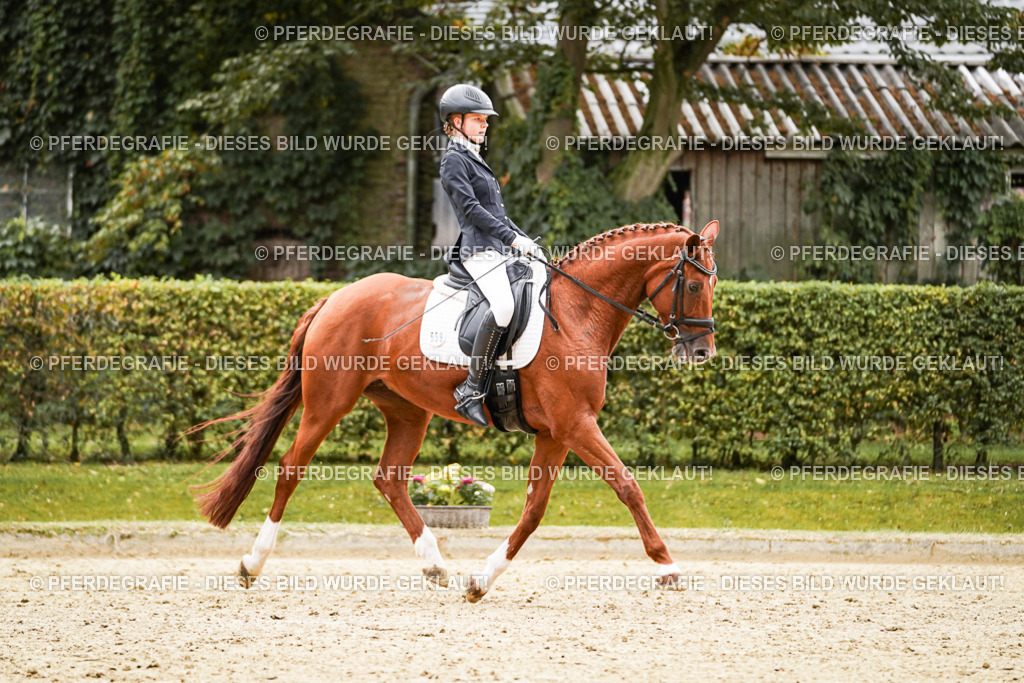 DSC07596 | Pferdegrafie