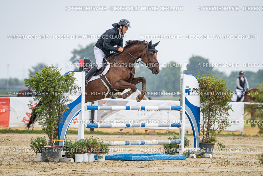 DSC01518 | Pferdegrafie