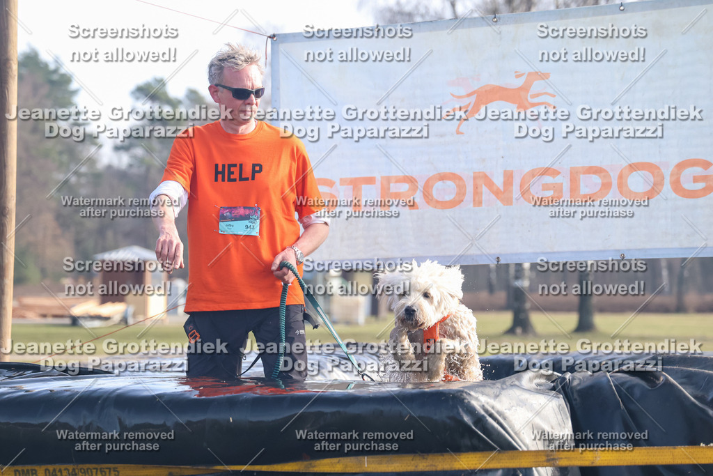 Dog Paparazzi - Strongdog North Mrz26-516 | Dog Paparazzi Jeanette Grottendiek Fotografie & Videografie - Realisiert mit Pictrs.com