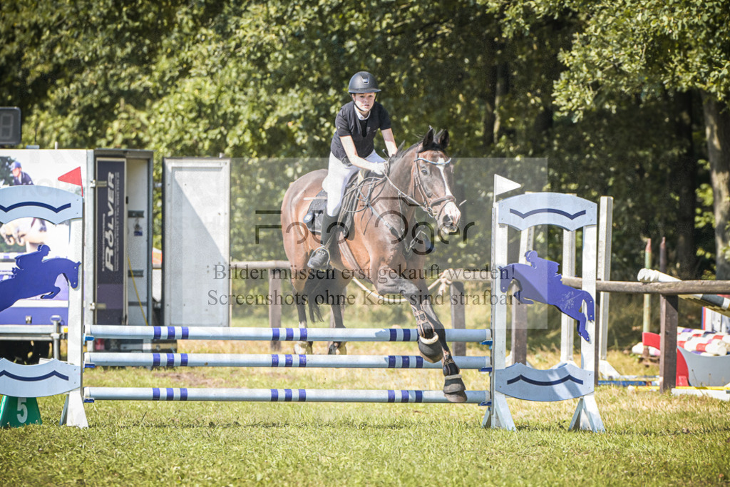 DOS_0949 | Entdecke hochwertige Reitturnierfotos von Foto Oger. Professionell, emotional und authentisch – jetzt Lieblingsmomente im Shop bestellen.Deutschlandweite Turnierfotografie. - Realisiert mit Pictrs.com