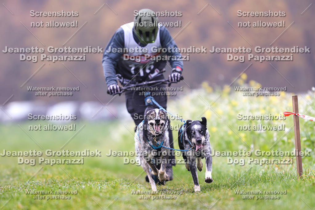 Dog Paparazzi - Visbeck 25 -69 | Dog Paparazzi Jeanette Grottendiek Fotografie & Videografie - Realisiert mit Pictrs.com