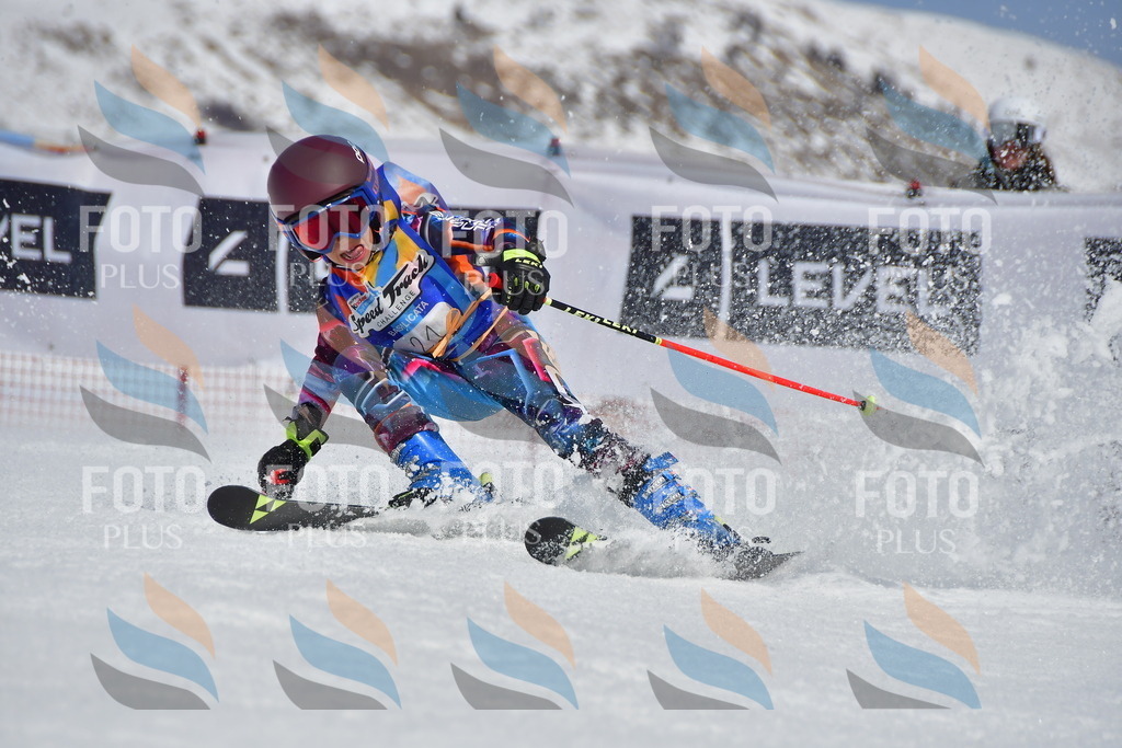 _DSC7233 | holidayphoto