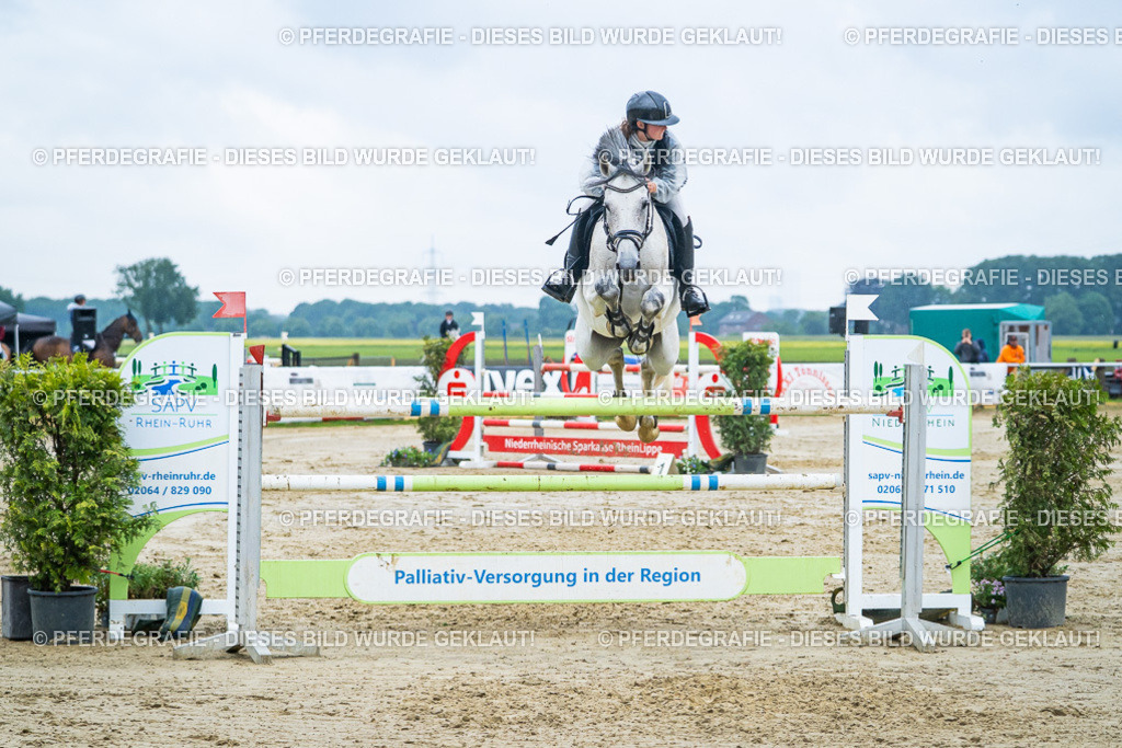 DSC00465 | Pferdegrafie