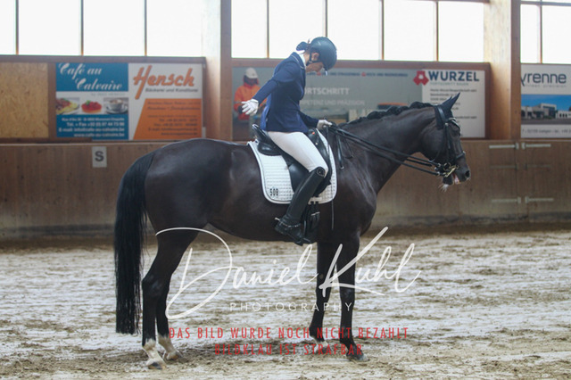 DKP44629 | Turniersportfotografie; Pferdefotografie; Dressurfotografie