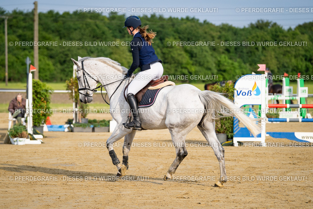 DSC02637 | Pferdegrafie