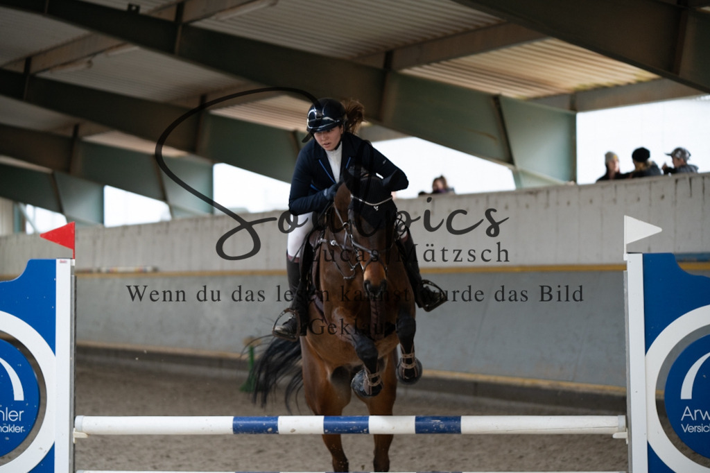 A7V07037 | Pferdefotograf