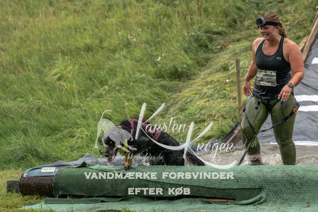 1339_ZZ92908 | kk-dogfotos