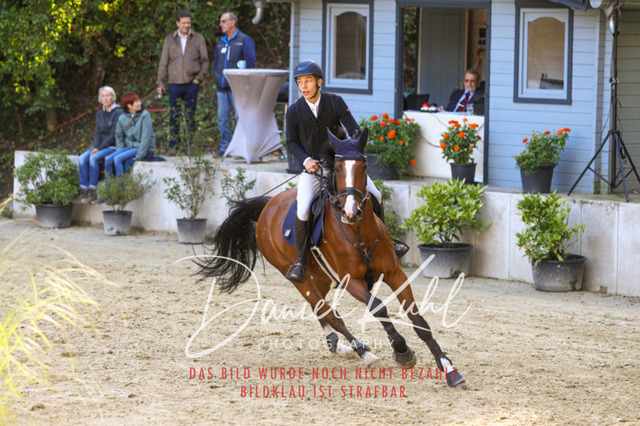 DKP42888 | Turniersportfotografie; Pferdefotografie; Dressurfotografie