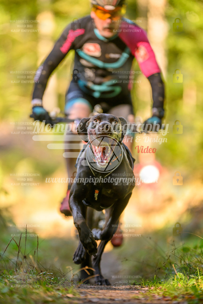 MompixPhotography_Yens2025_B3-91 | PayLife