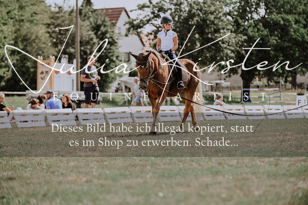 DSC_7811 | Pferde- und Turnierfotografie in Westsachsen. Pferdeportraits, Auftragszeichnungen und intuitive Kunst.