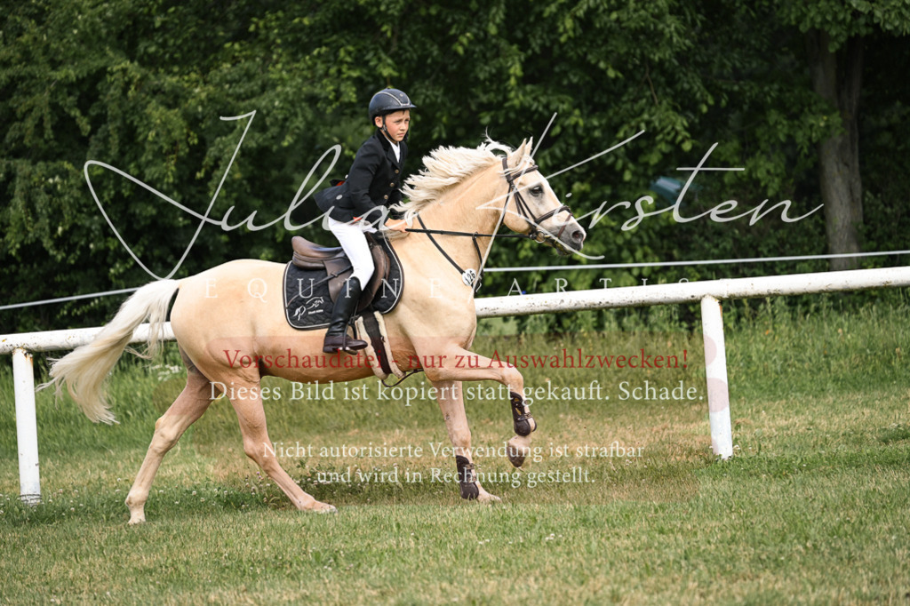 DSC_0641 | Pferde- und Turnierfotografie in Westsachsen. Pferdeportraits, Auftragszeichnungen und intuitive Kunst.