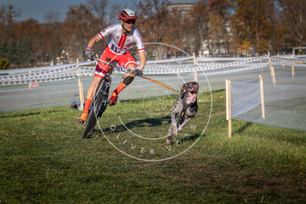CaniXpix_0L8A4321 | Hundefotografie, Tierfotograf, Pfotenfotografie, Fotoshooting Hund, Hunde Portrait, Hundesport, Hundeportraits, Heideshooting, Hunde, Sportfotograf, Hundefotograf, Turnierhundsport, THS,  - Realisiert mit Pictrs.com