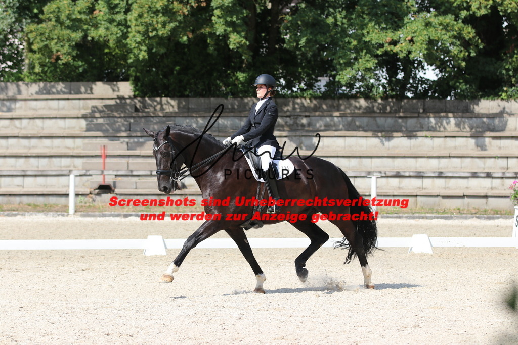 IMG_6899 | lmwpictures - Realisiert mit Pictrs.com