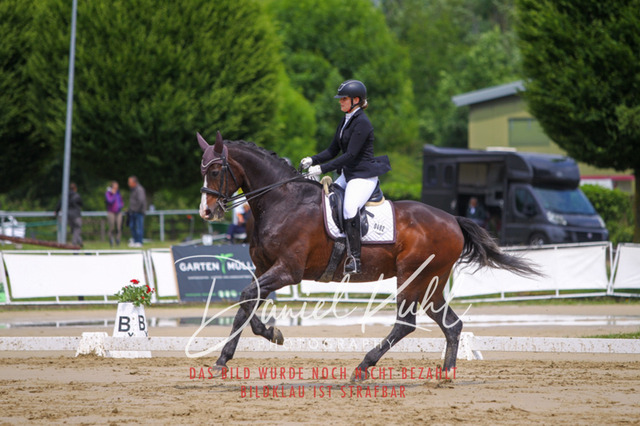 DKP40762 | Turniersportfotografie; Pferdefotografie; Dressurfotografie