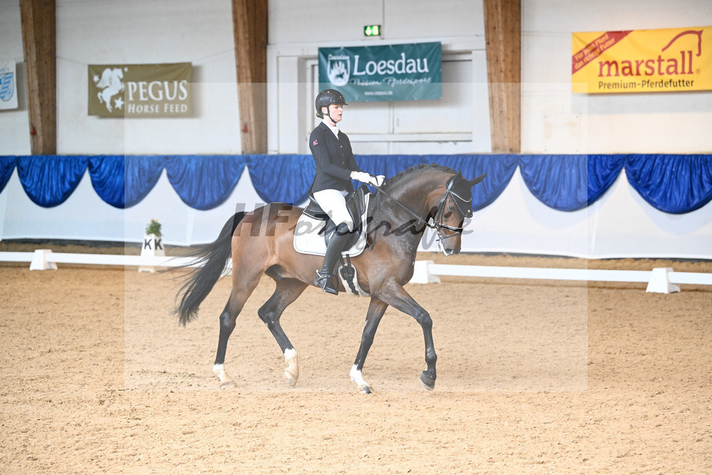 Kat-Nr. 16 Black Horse Fine Chocolate_Meyer-Piening_14240312 | hf-fotografie - Realisiert mit Pictrs.com