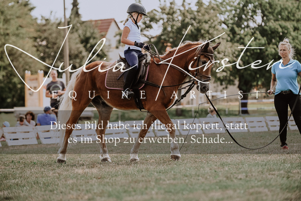 DSC_7803 | Pferde- und Turnierfotografie in Westsachsen. Pferdeportraits, Auftragszeichnungen und intuitive Kunst.