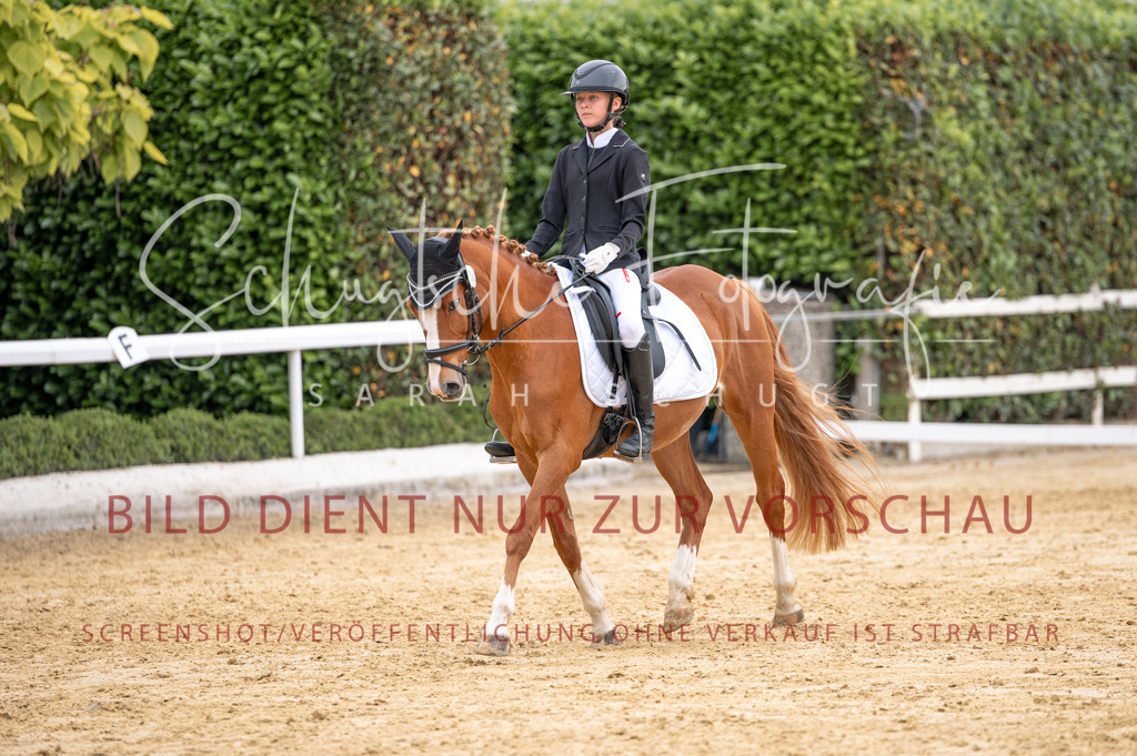 Schugtsche-Aluta25-40.DressurprfA_-387 | Schugtsche Fotografie - Realisiert mit Pictrs.com