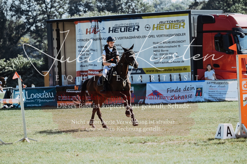 DSC_5489 | Pferde- und Turnierfotografie in Westsachsen. Pferdeportraits, Auftragszeichnungen und intuitive Kunst.