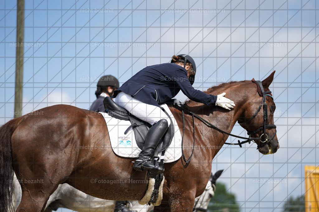 20230826-FAH05366 | Forstinning, 2023, Dressurturnier, Turniersportbilder, Turnierfotografen Bayern, Fotoagentur Herrmann, Reitsportfotografie, Turnierbilder