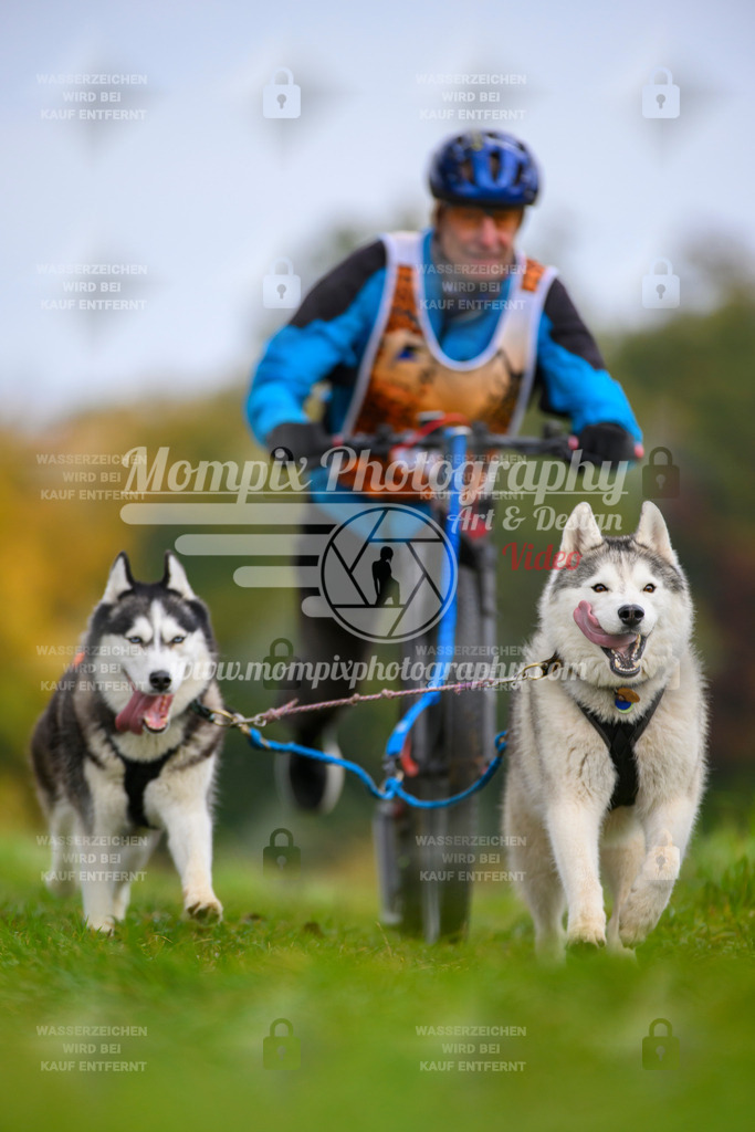 MompixPhotography_CDLBDB2025_DI_DS-34 | PayLife