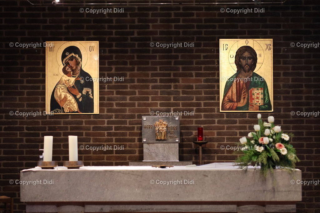 IMG_2080 | Didi - Realisiert mit Pictrs.com