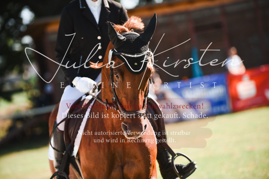 DSC_2446 | Pferde- und Turnierfotografie in Westsachsen. Pferdeportraits, Auftragszeichnungen und intuitive Kunst.