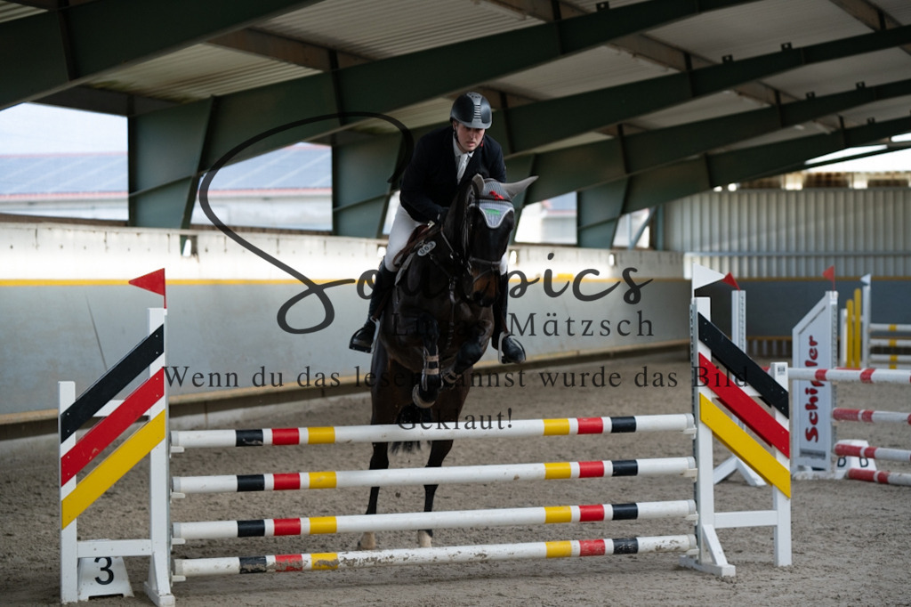 A7V02415 | Pferdefotograf