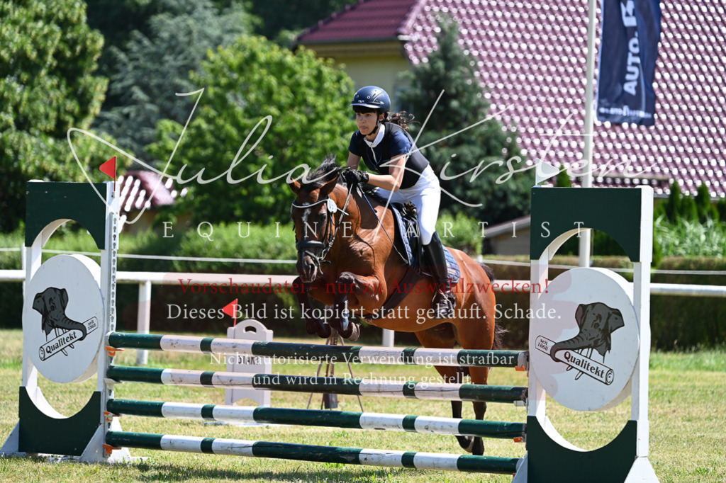 DSC_0815 | Pferde- und Turnierfotografie in Westsachsen. Pferdeportraits, Auftragszeichnungen und intuitive Kunst.